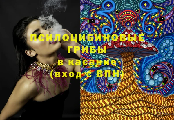 PSILOCYBIN Сафоново